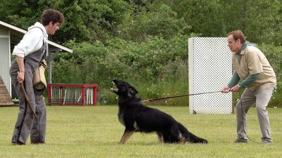 Köpek Eğitimi Okulu Köpeğinizle İletişimi Güçlendirin